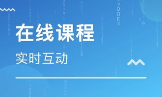 思鴻集團(tuán) 深耕職業(yè)教育市場(chǎng)，打造在線職業(yè)教育培訓(xùn)專業(yè)平臺(tái)與軟件開發(fā)